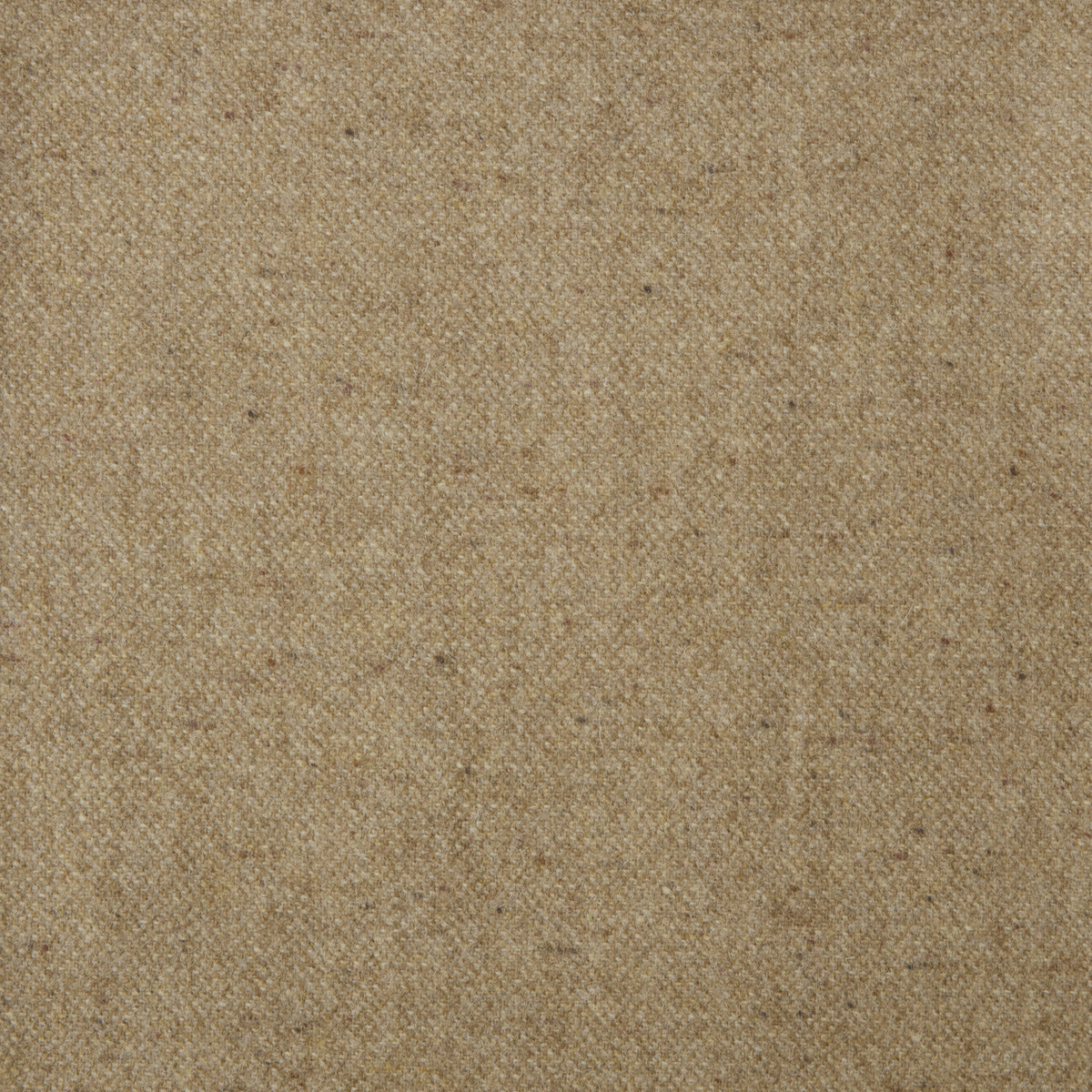 Donegal Wool Fabric by Abraham Moon Honey