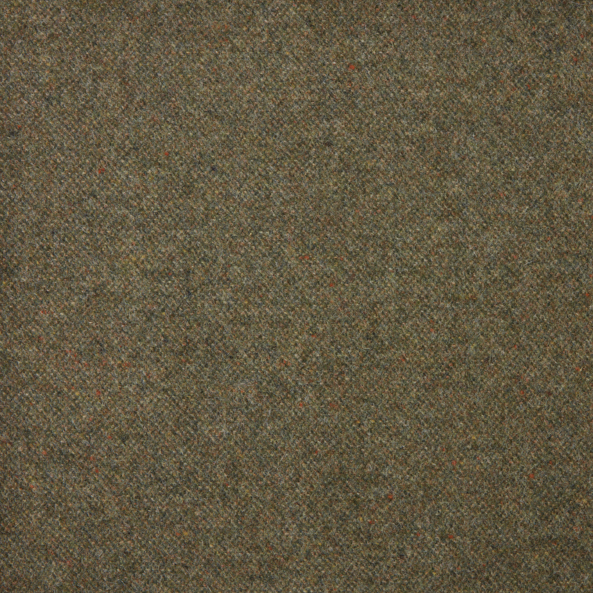 Donegal Wool Fabric by Abraham Moon Fern