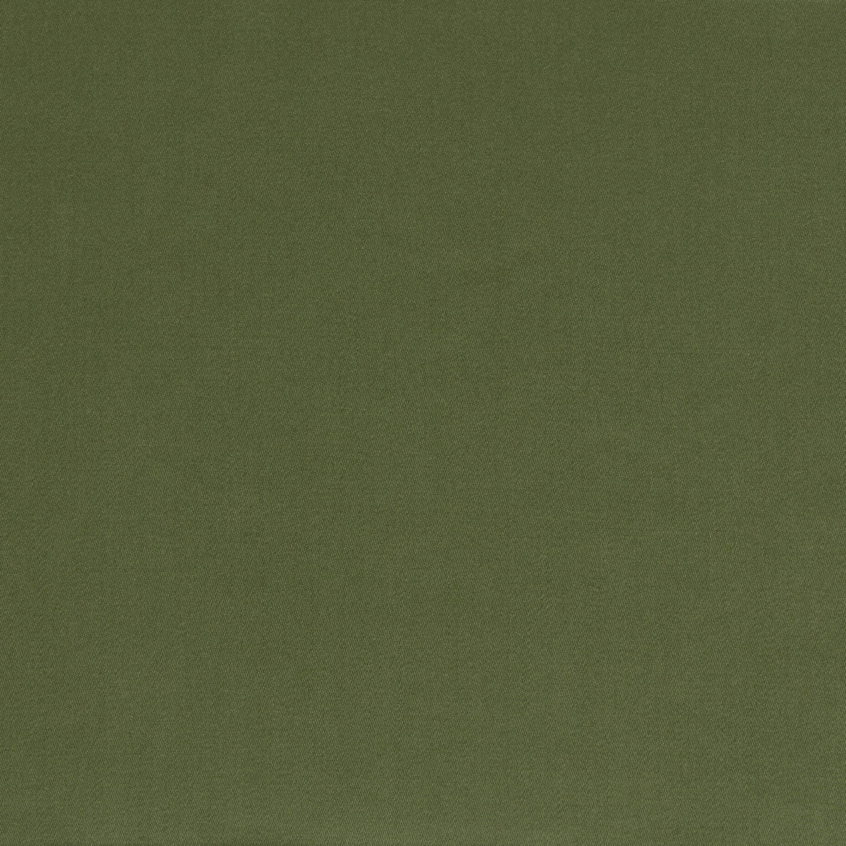 Satin Wool Fabric by Abraham Moon Olive