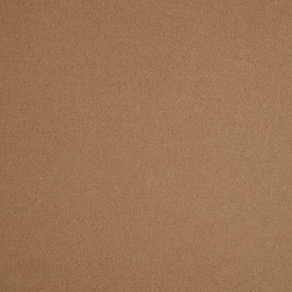 Spectrum Wool Fabric by Abraham Moon Camel