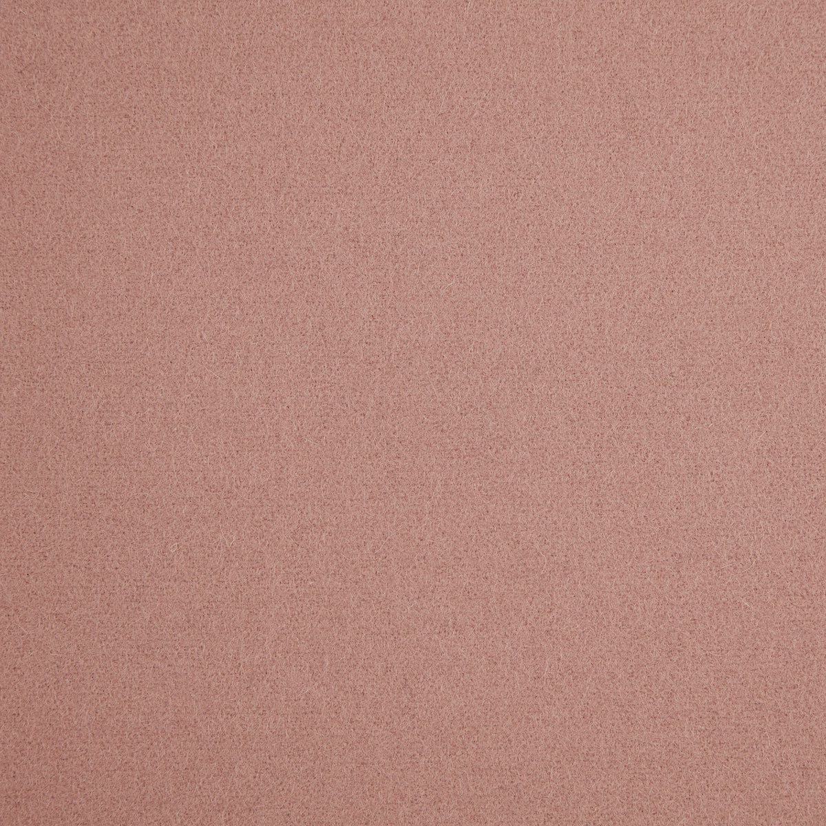 Spectrum Wool Fabric by Abraham Moon Dusky Pink