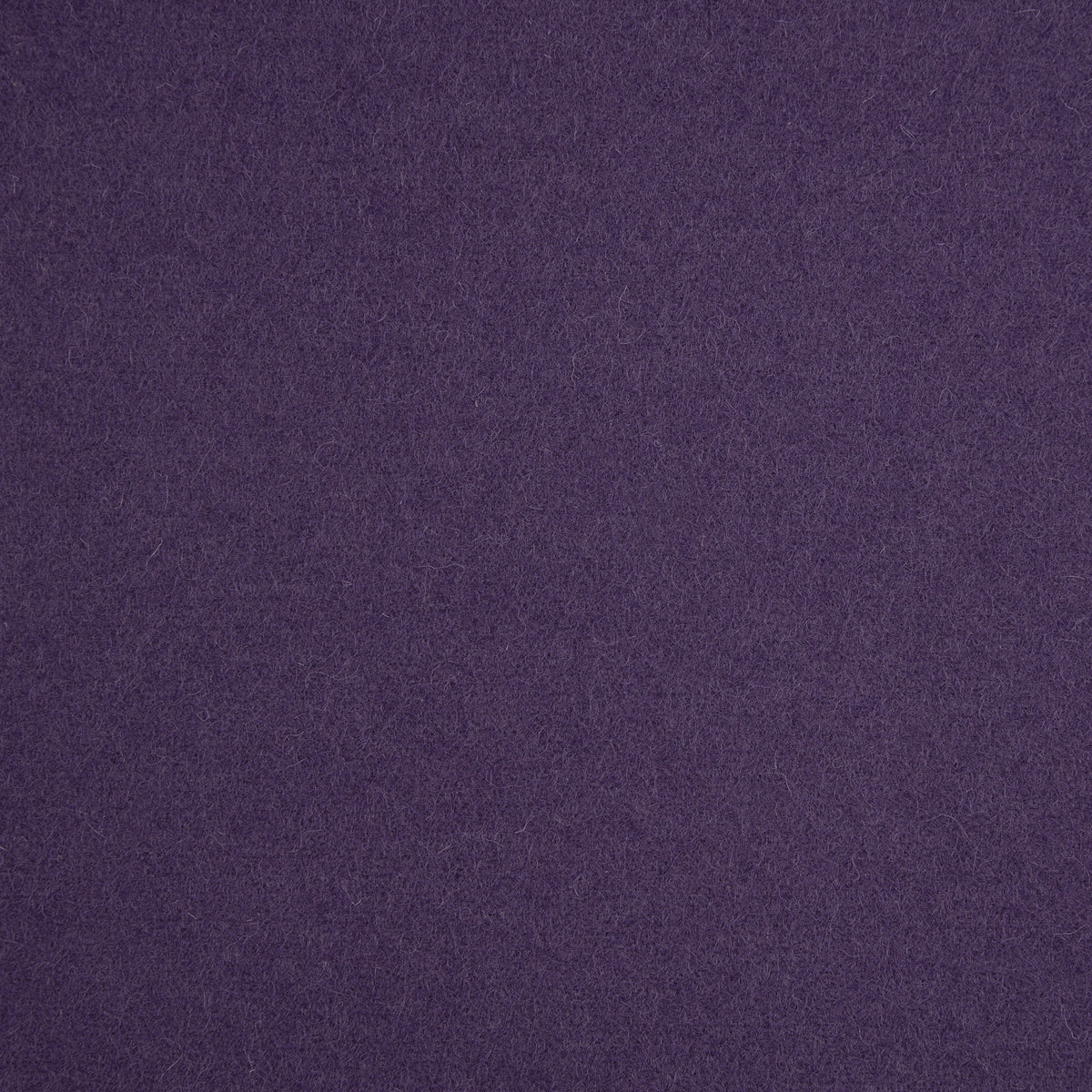 Spectrum Wool Fabric by Abraham Moon Violet
