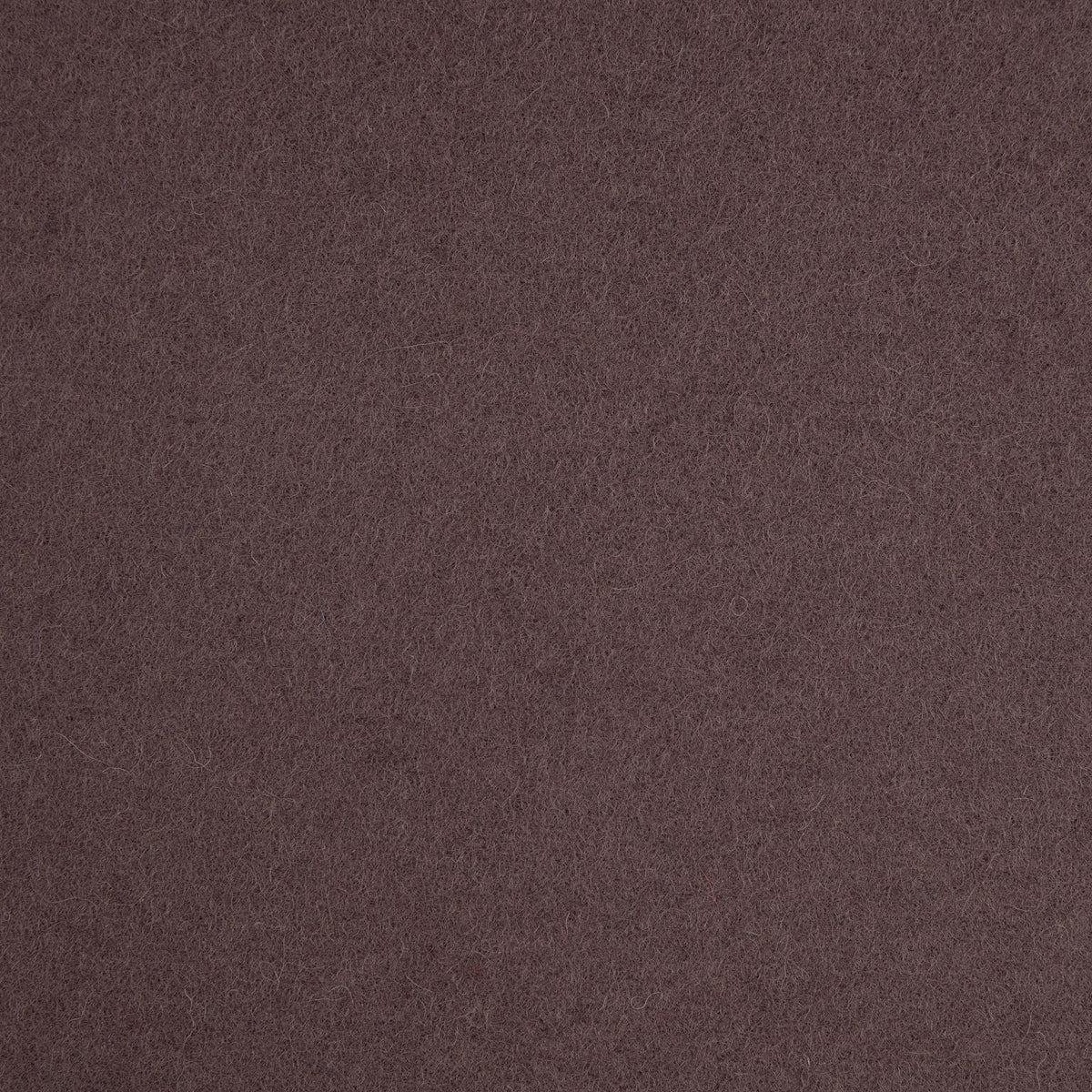 Spectrum Wool Fabric by Abraham Moon Viola