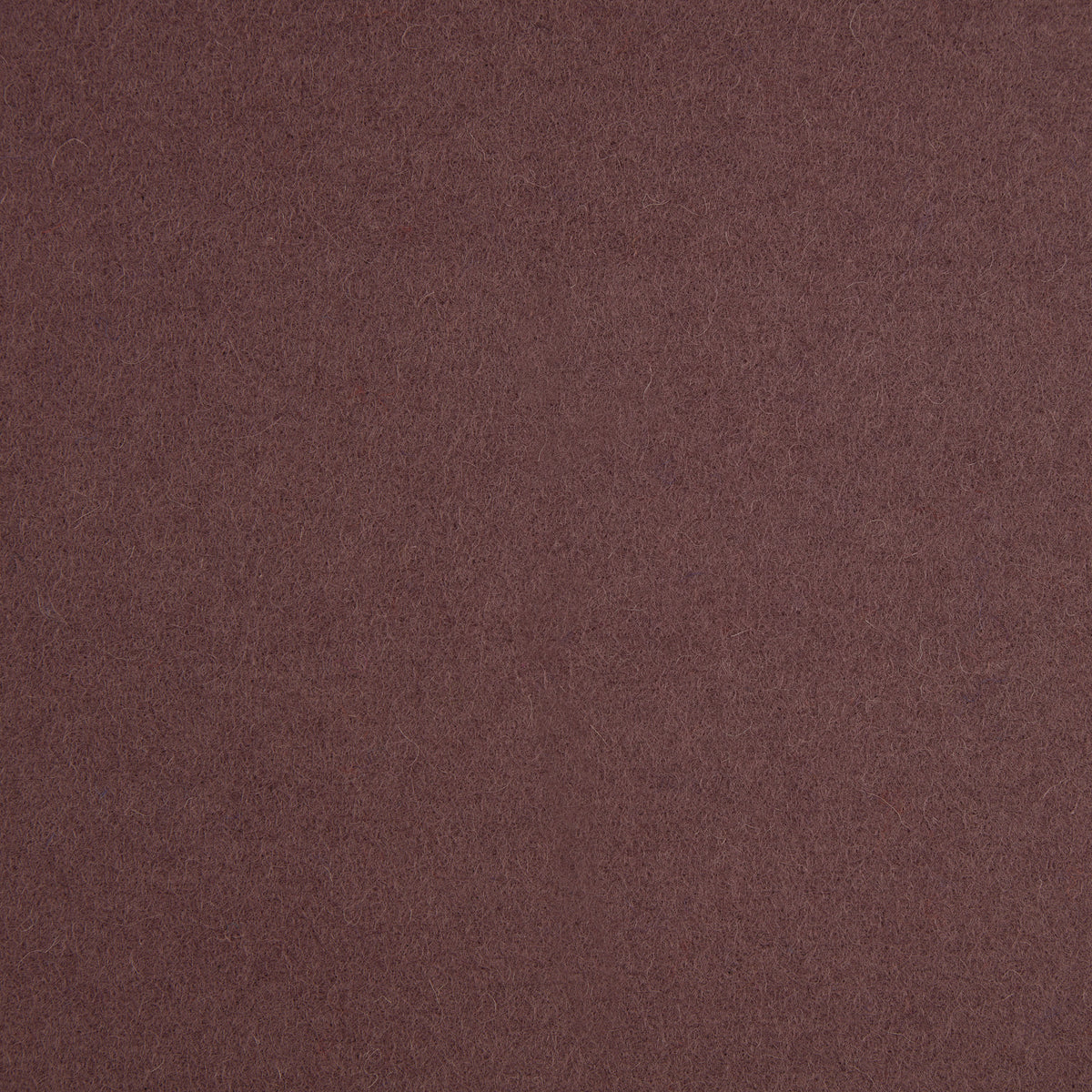 Spectrum Wool Fabric by Abraham Moon Aubergine