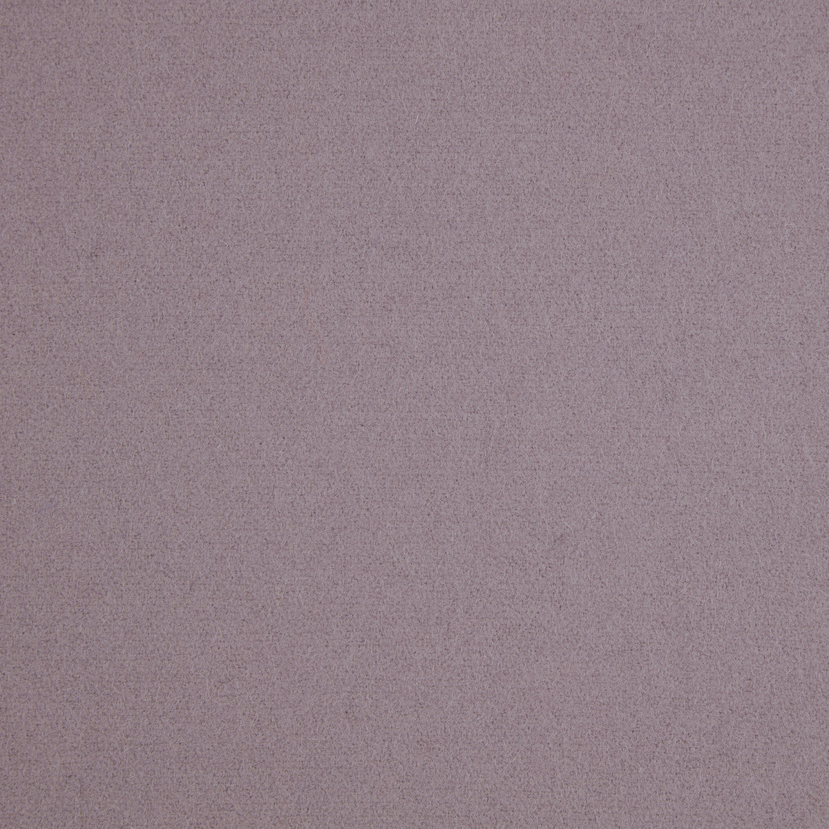 Spectrum Wool Fabric by Abraham Moon Lilac