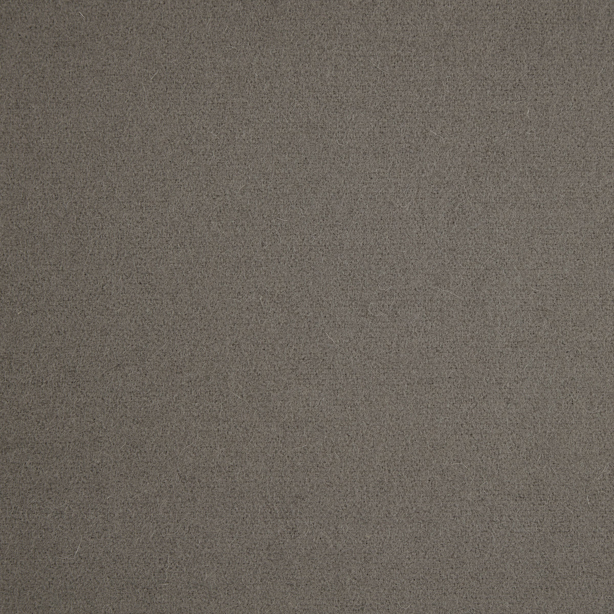 Spectrum Wool Fabric by Abraham Moon Grey