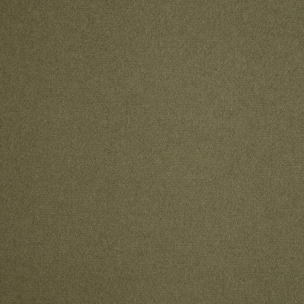 Spectrum Wool Fabric by Abraham Moon Grass