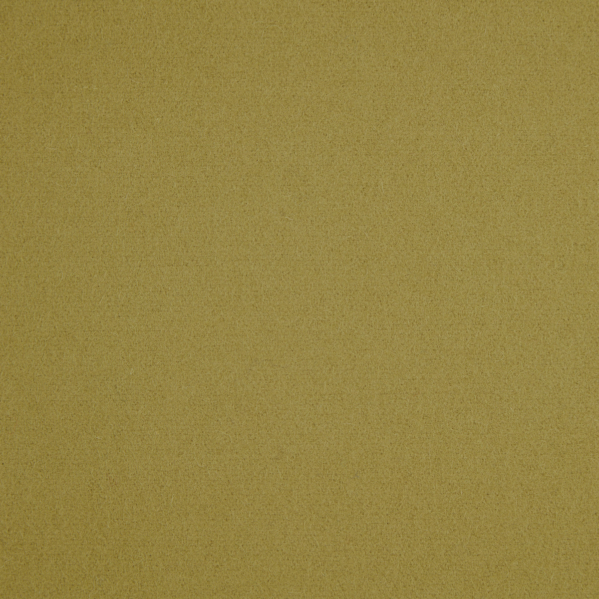 Spectrum Wool Fabric by Abraham Moon Olive