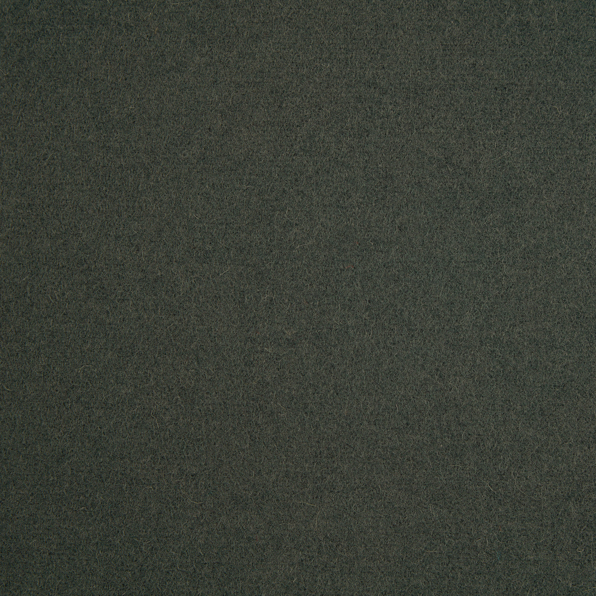 Spectrum Wool Fabric by Abraham Moon Forest