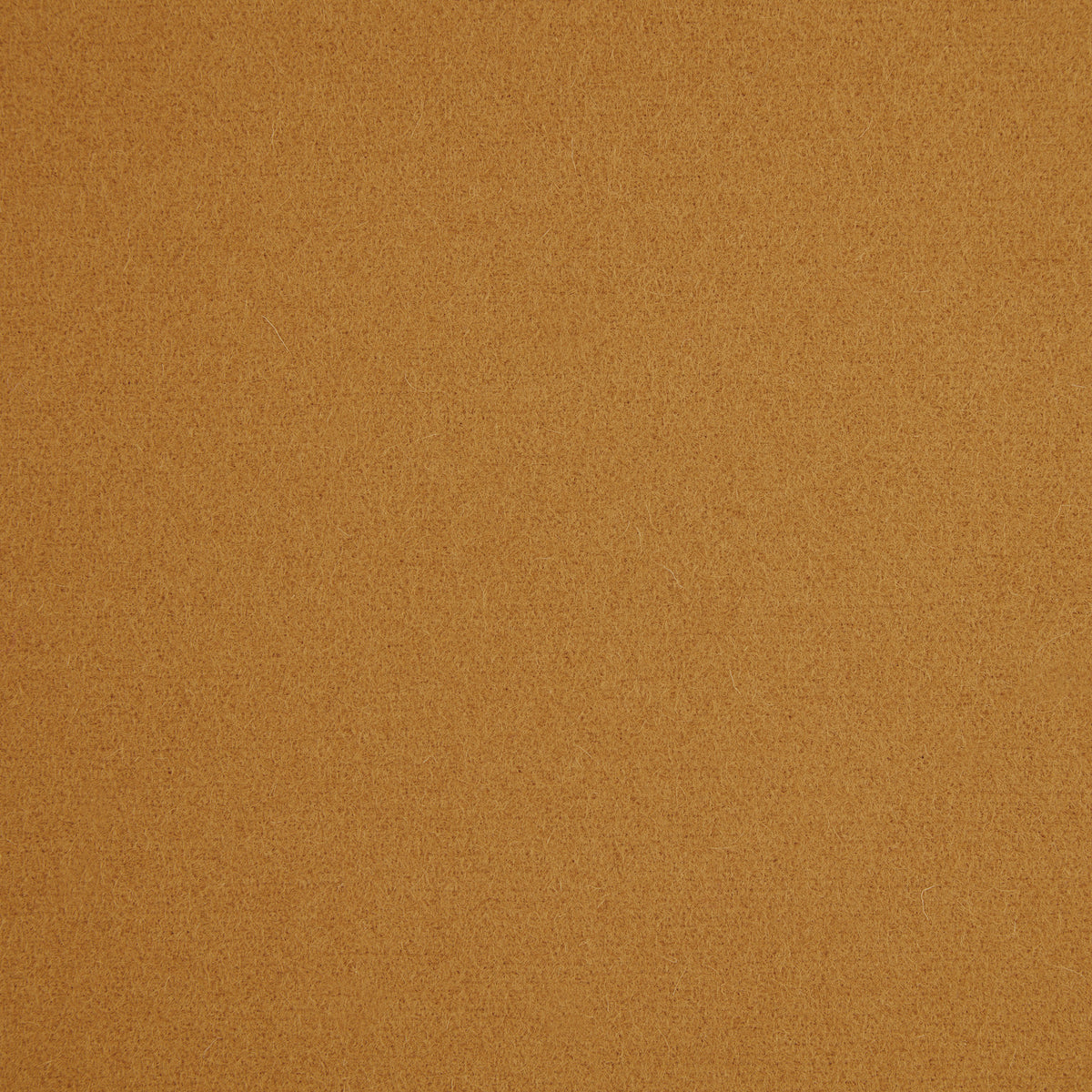 Spectrum Wool Fabric by Abraham Moon Mustard