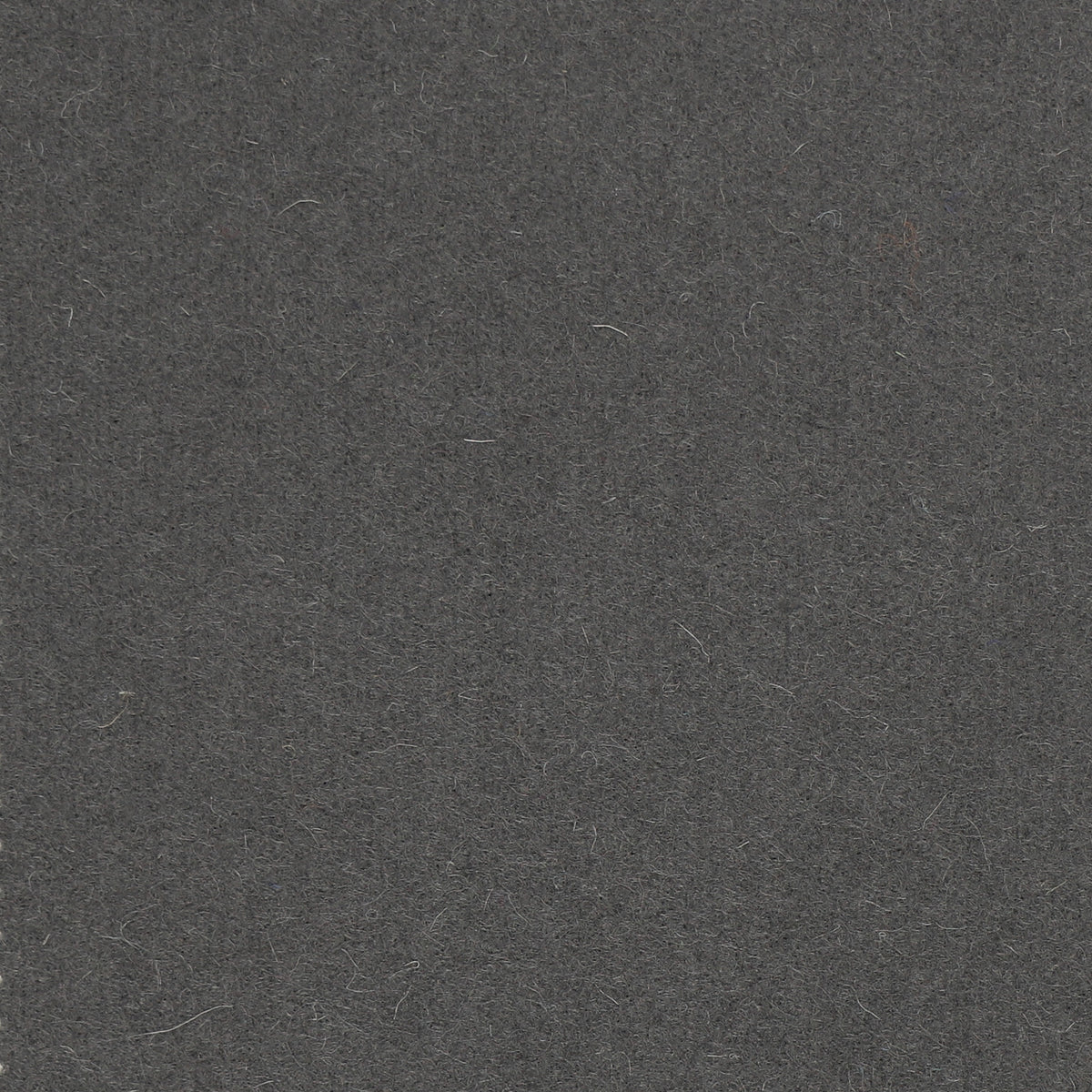 Spectrum Wool Fabric by Abraham Moon Kings X