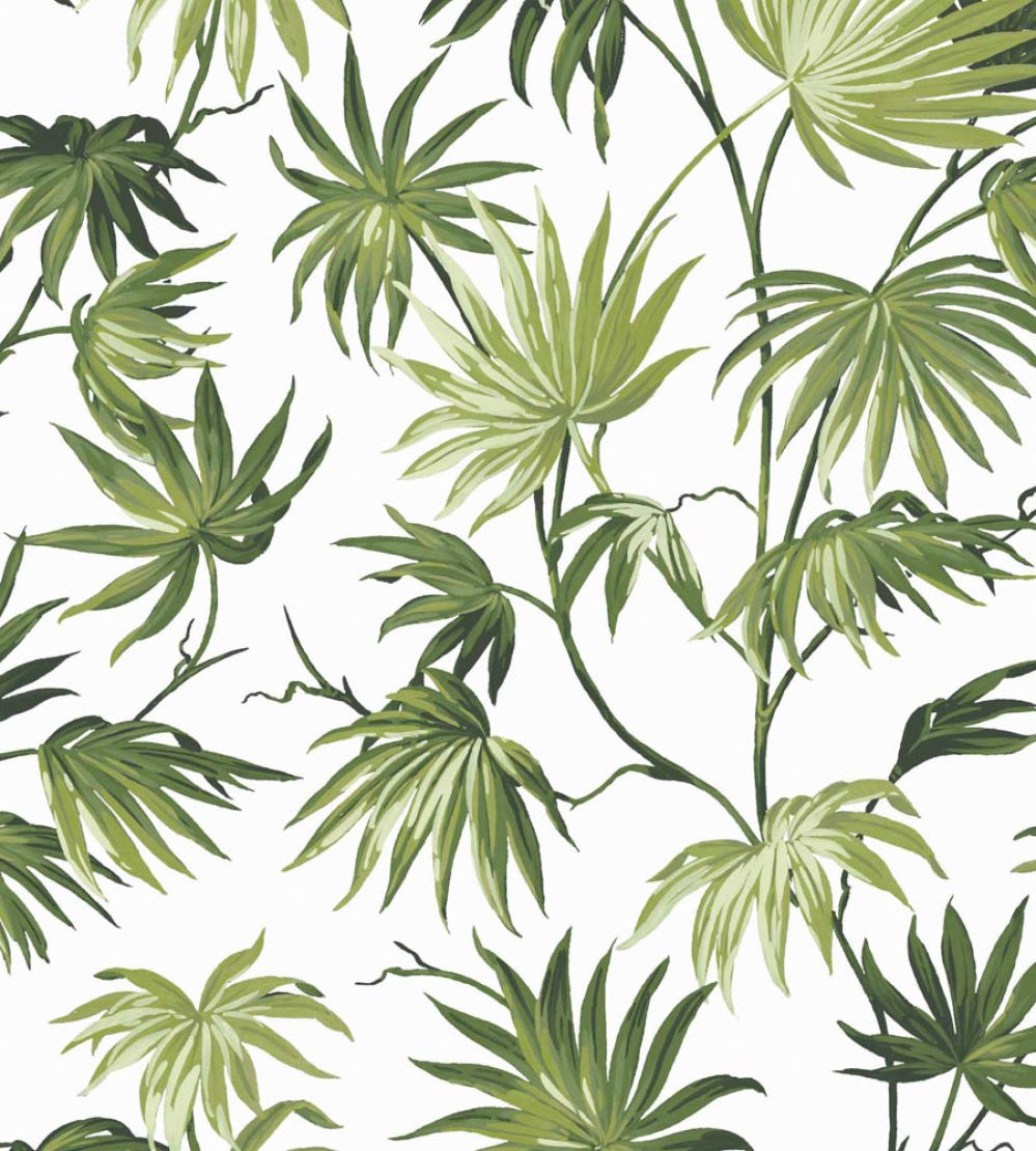 Va Va Frome Wallpaper by Woodchip & Magnolia Meadow Green