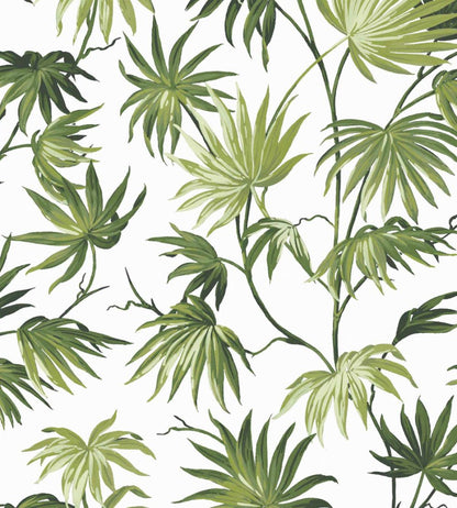 Va Va Frome Wallpaper by Woodchip & Magnolia Meadow Green