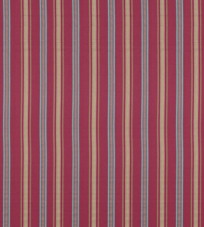 Valley Stripe Fabric by Sanderson Mulberry/Blue