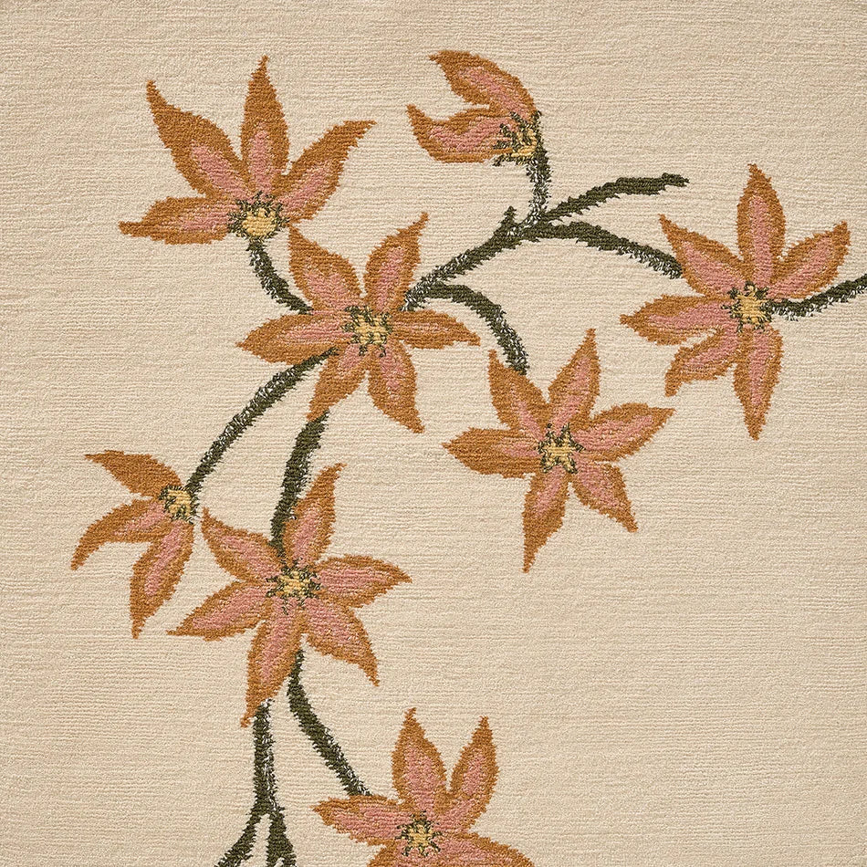Vallota Rug by Pierre Frey in Naturel (FT517001)