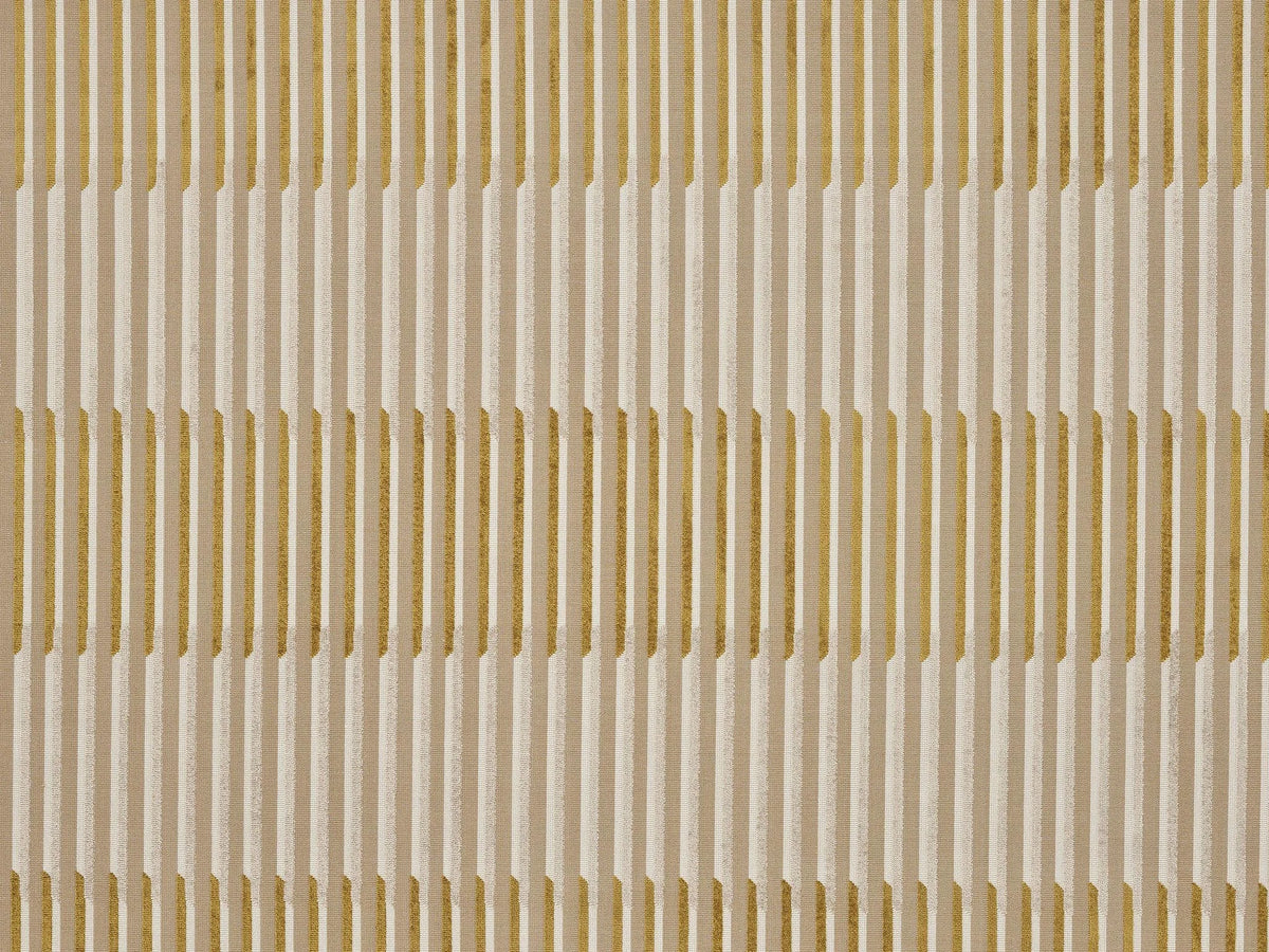Velvet Lines by Pierre Frey in Or (F3551002)