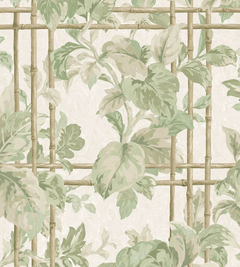 Verdant Trellis Wallpaper by Woodchip & Magnolia Laurel