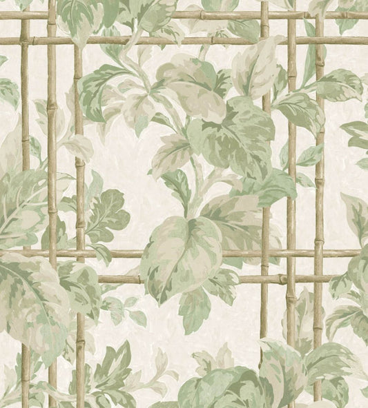 Verdant Trellis Wallpaper by Woodchip & Magnolia Laurel