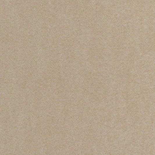 Via de la Paz Fabric by Coraggio in Dune (U98167)
