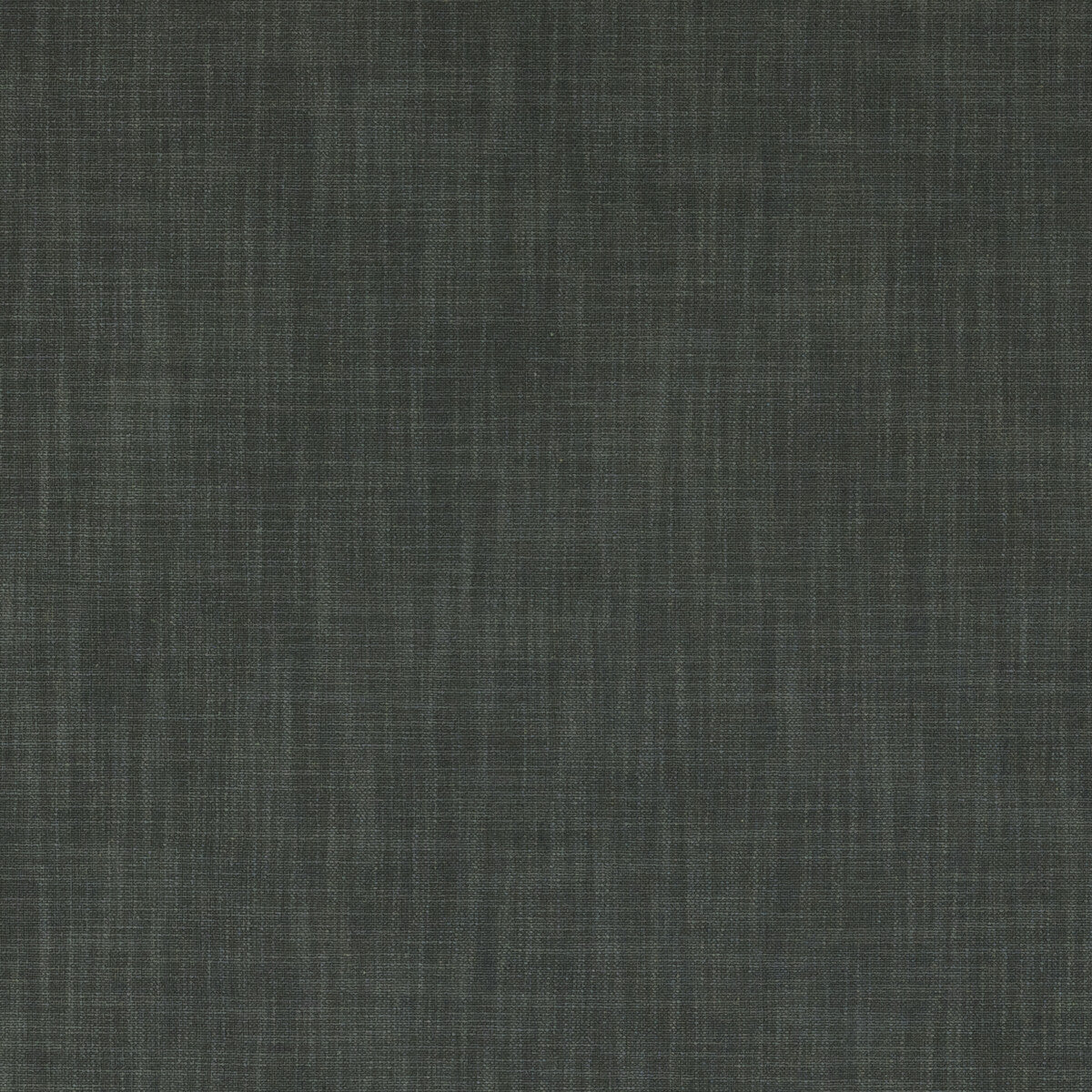 Vienna Charcoal fabric by Clarke & Clarke