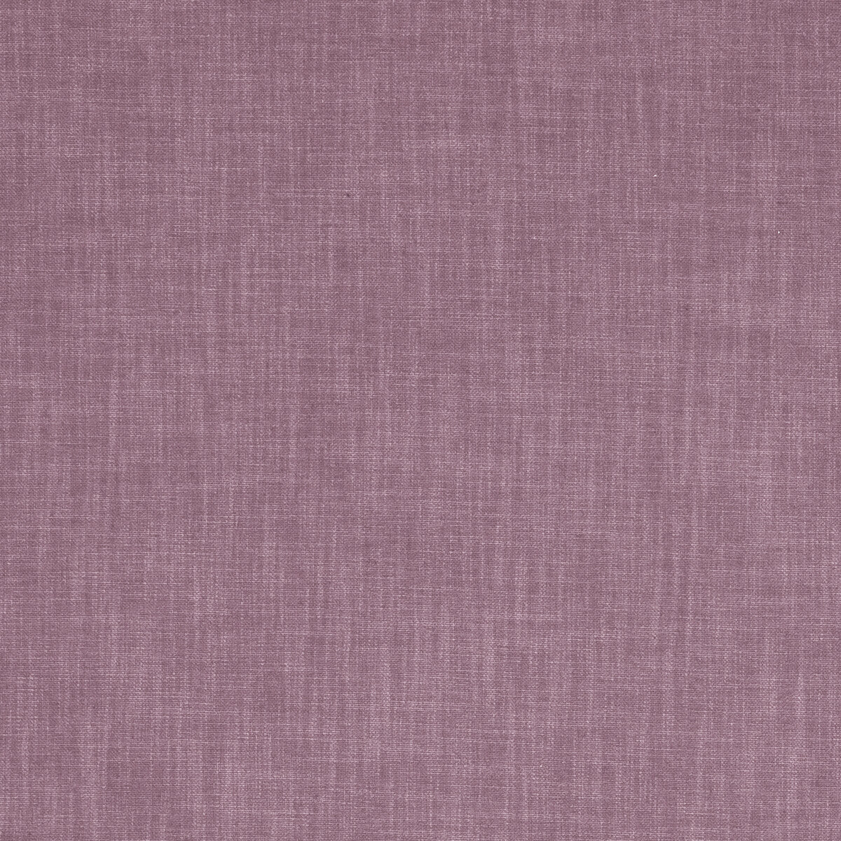 Vienna Orchid fabric by Clarke & Clarke