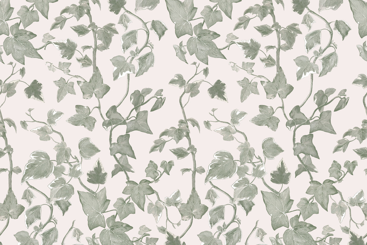 Vine Green & White wallpaper by Hovia