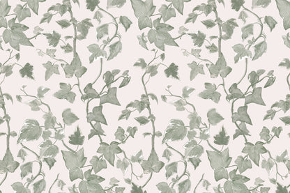 Vine Green & White wallpaper by Hovia