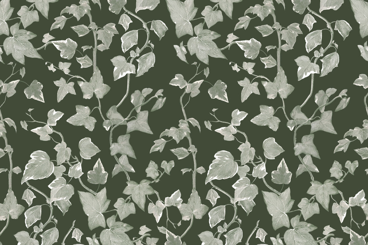 Vine Green wallpaper by Hovia