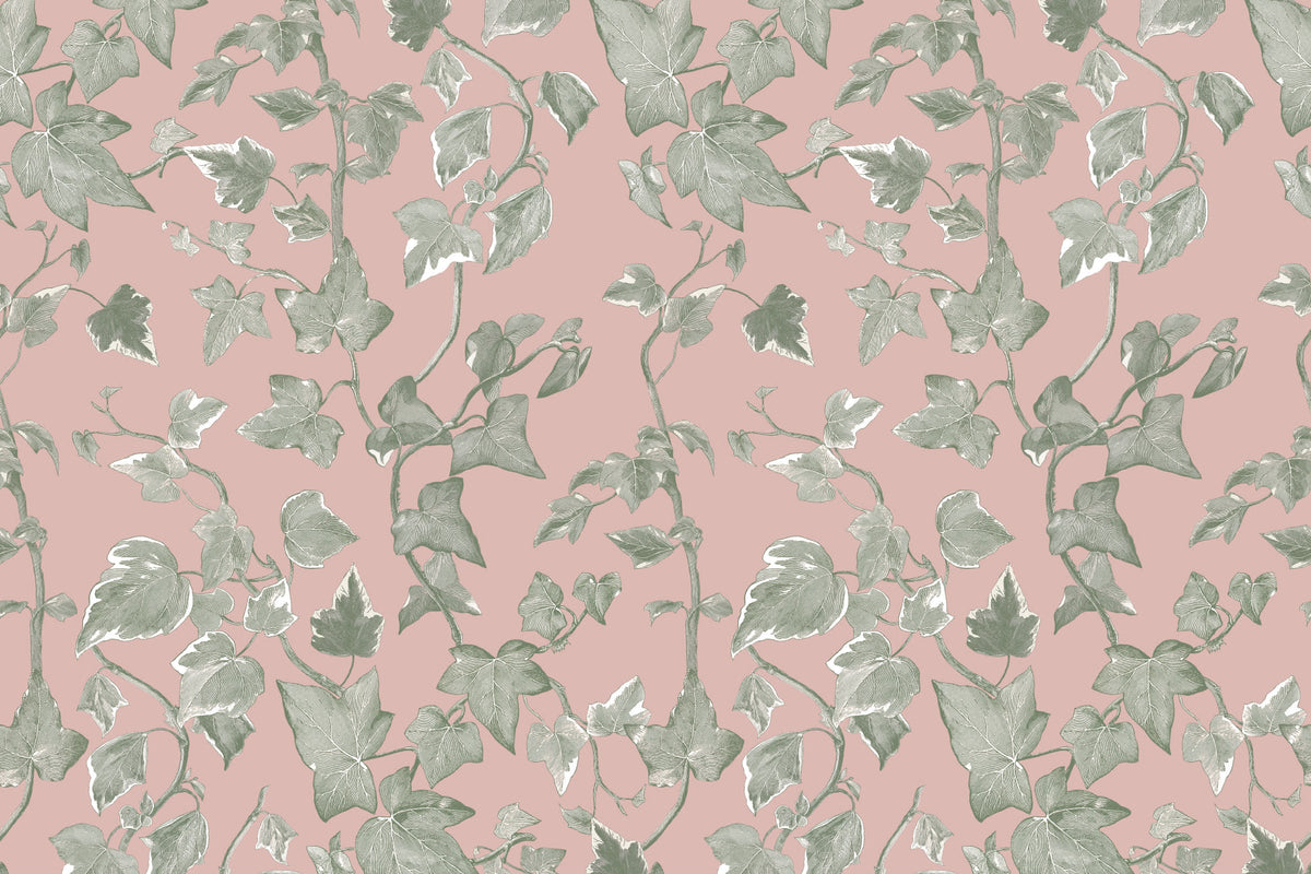 Vine Green & Pink wallpaper by Hovia