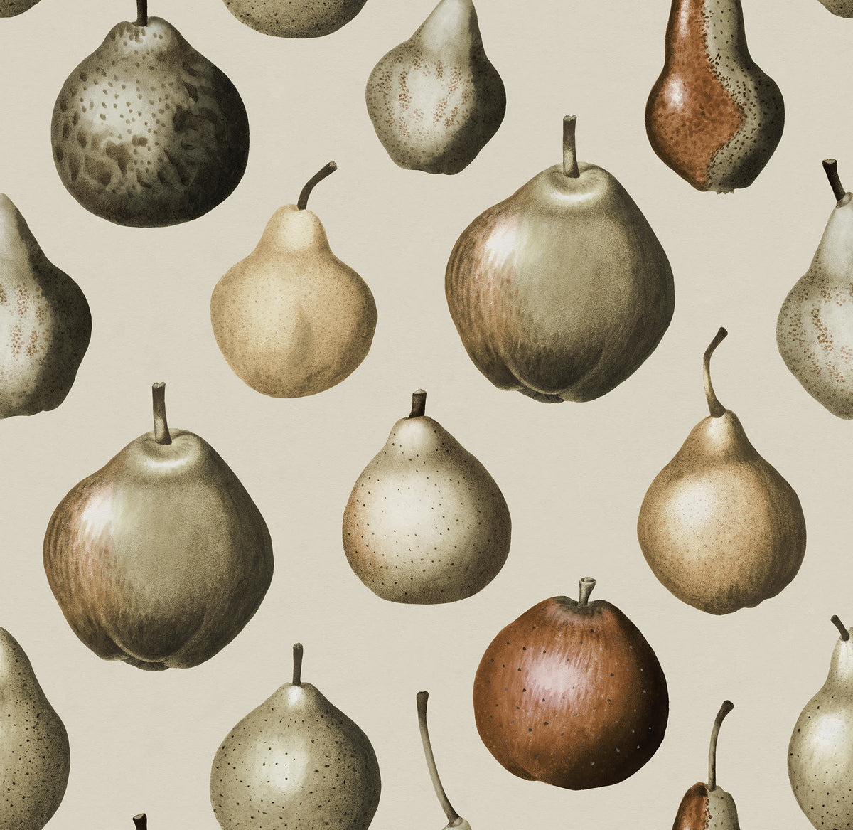 Vintage Pear Vintage mural by Rebel Walls
