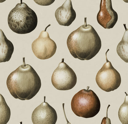 Vintage Pear Vintage mural by Rebel Walls