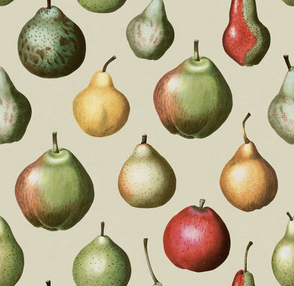 Vintage Pear Happy mural by Rebel Walls