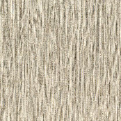 Vinyl Chiseled Wallpaper by Phillip Jeffries in Dune (PJ 34808)