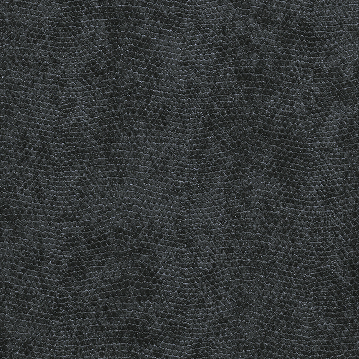 Vinyl Snakeskin Wallpaper by Phillip Jeffries in Black Mamba (PJ 8076)
