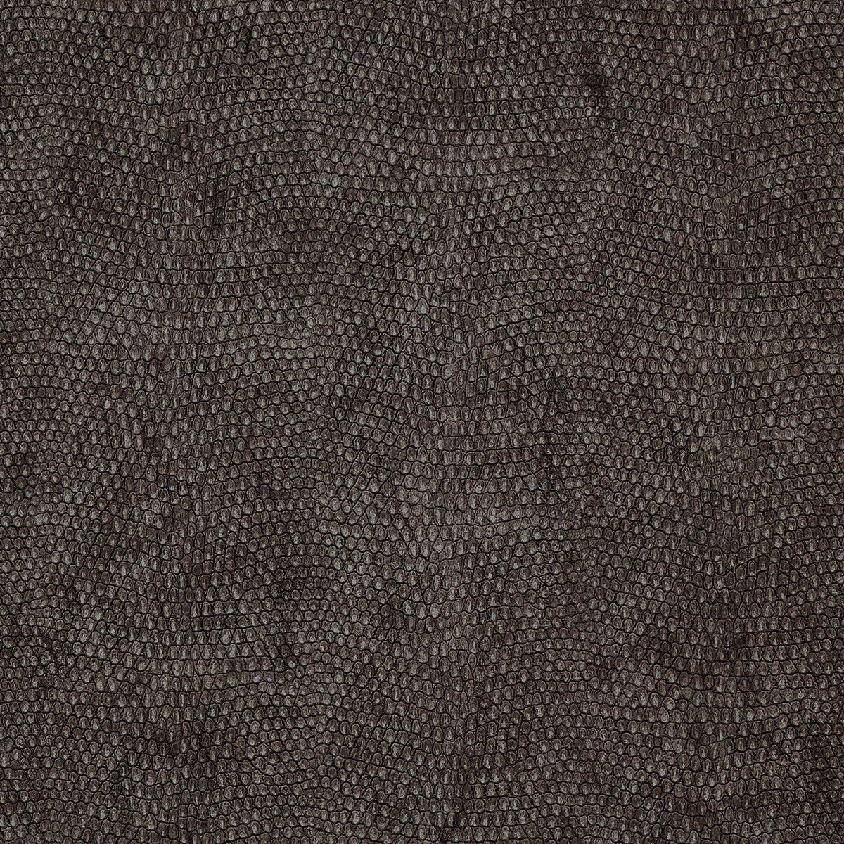 Vinyl Snakeskin Wallpaper by Phillip Jeffries in Grey Ora (PJ 8078)