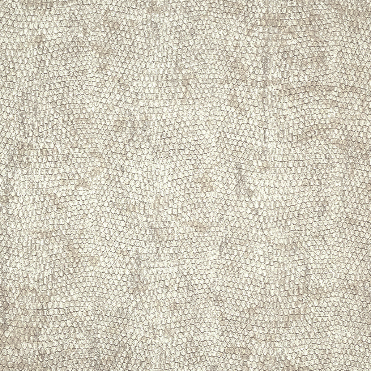 Vinyl Snakeskin Wallpaper by Phillip Jeffries in Rattlesnake (PJ 10248)