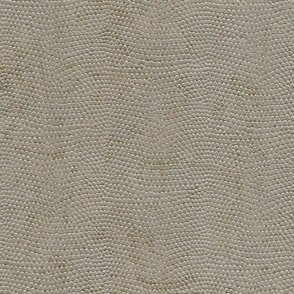 Vinyl Snakeskin Wallpaper by Phillip Jeffries in Vicious Venom (PJ 8072)