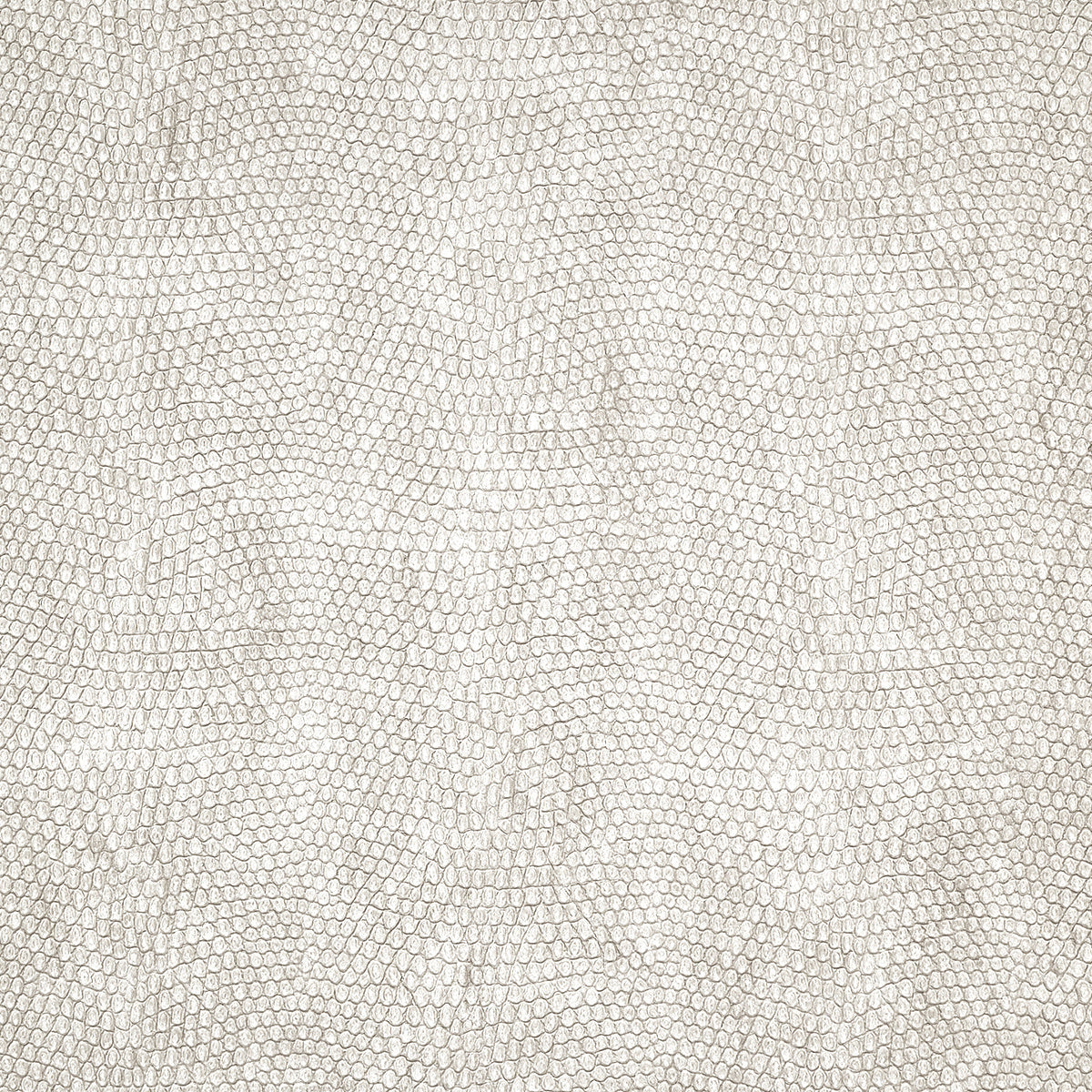 Vinyl Snakeskin Wallpaper by Phillip Jeffries in White Fang (PJ 10247)