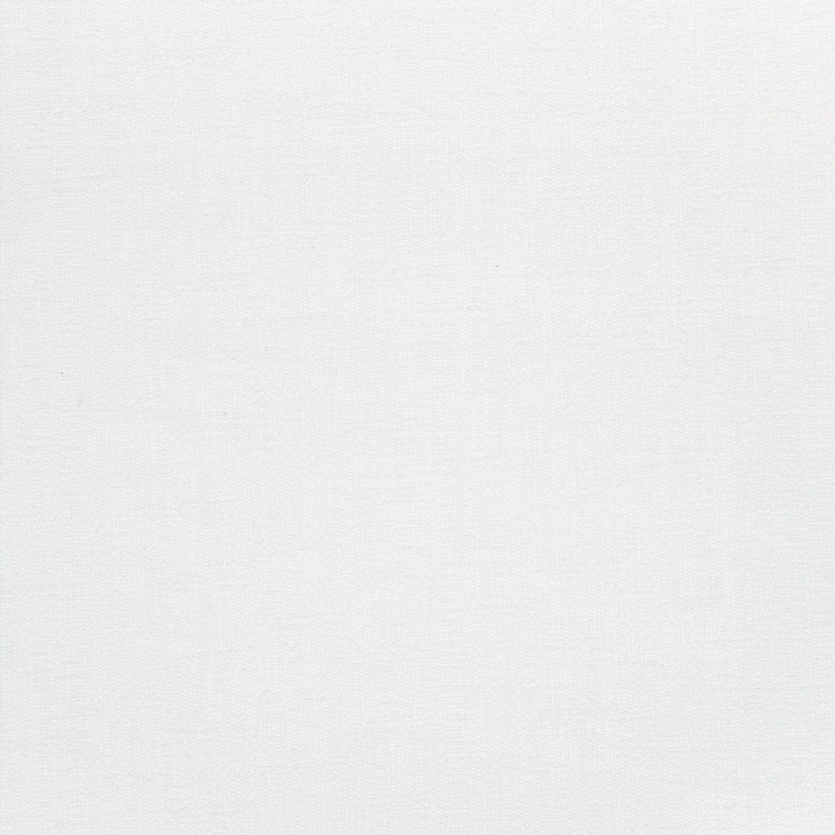 Vista Fabric by Thibaut in Snow White (W73394)