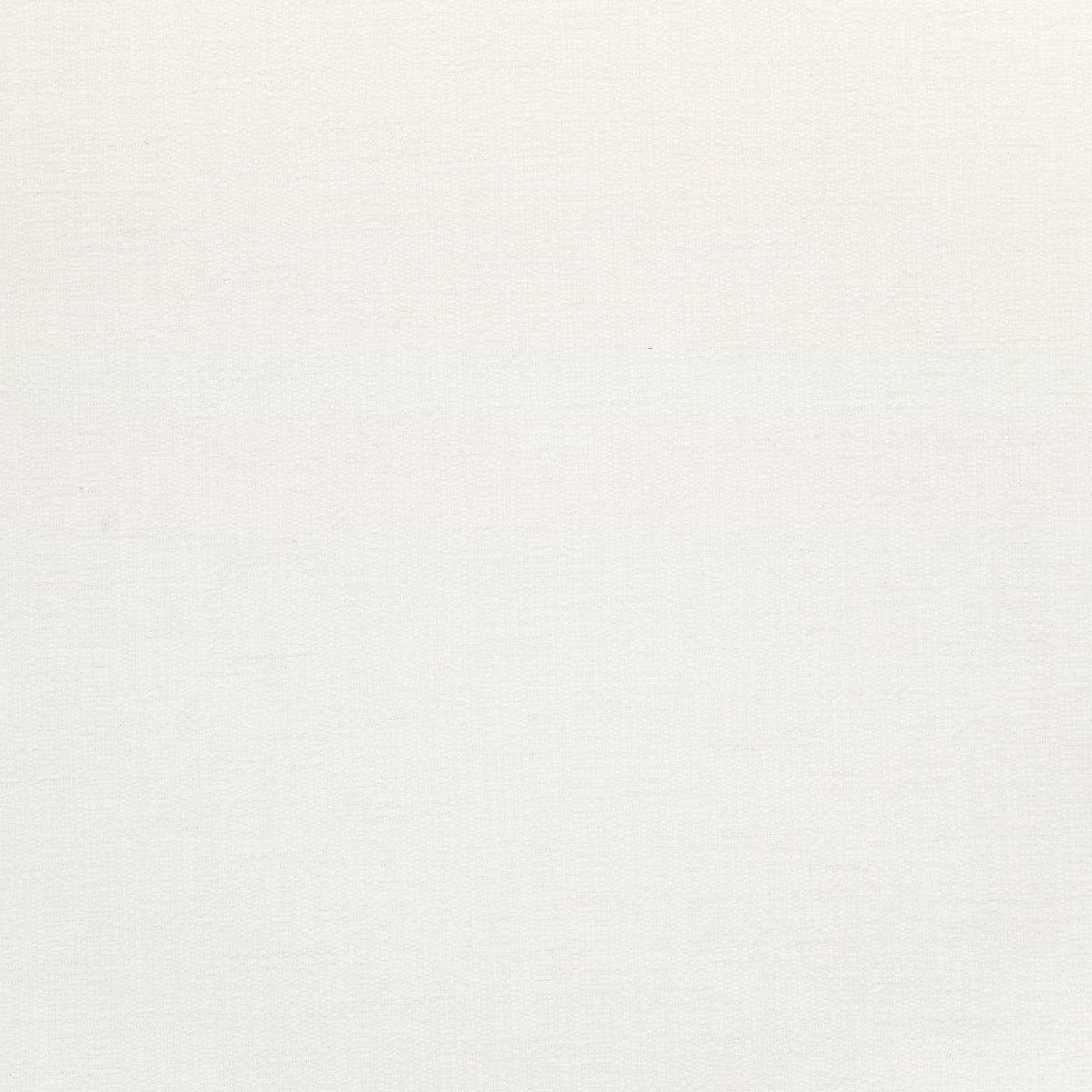 Vista Fabric by Thibaut in Ivory (W73395)