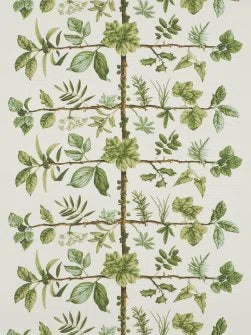 Wallpaper Espalier by Pierre Frey in Foin (FP169002)