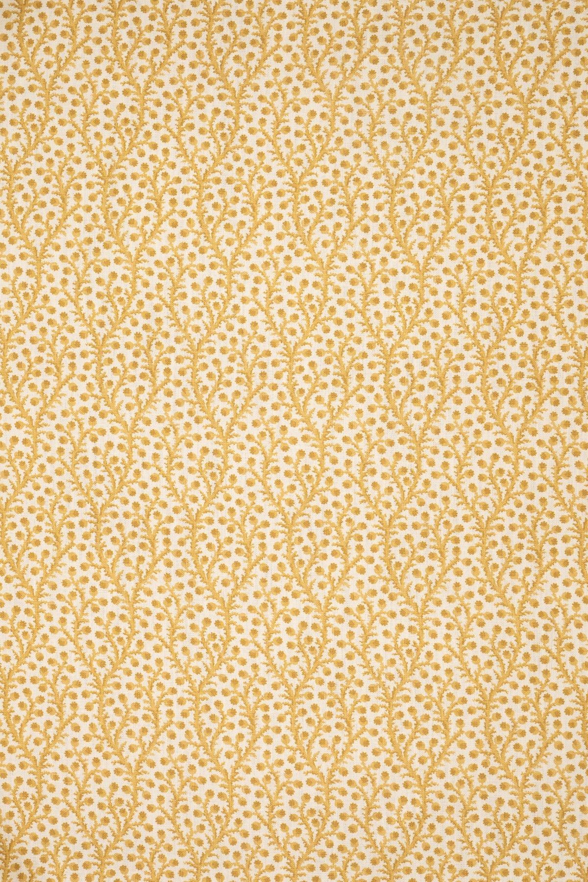 Waterberry Fabric by Jean Monro in Haystack Yellow