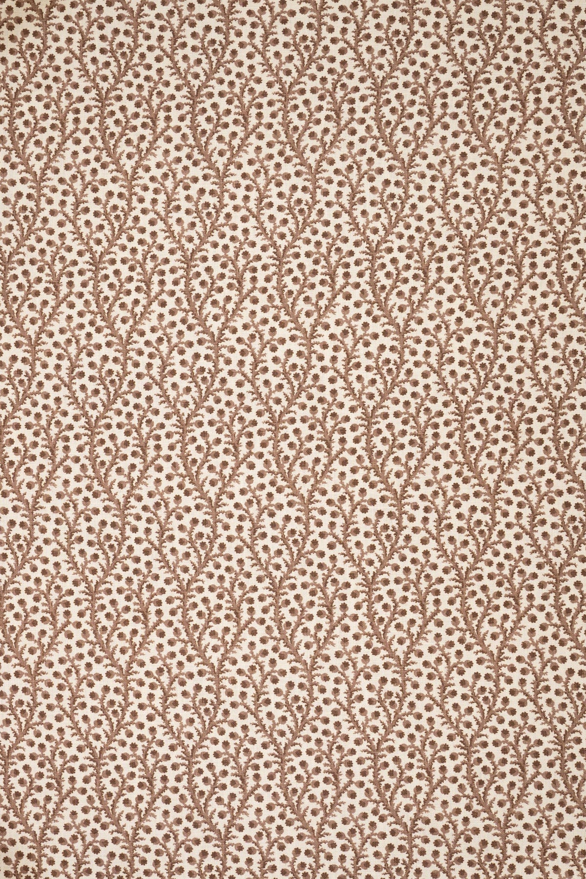 Waterberry Fabric by Jean Monro in Unearthly Brown