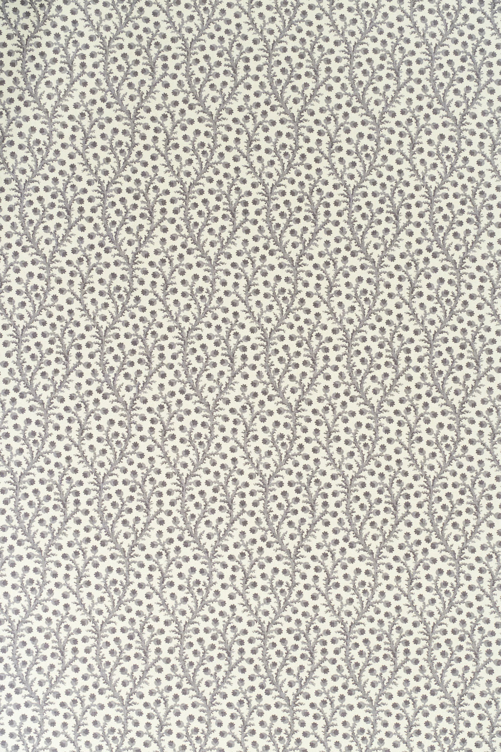 Waterberry Wallpaper by Jean Monro in Dovecote Grey