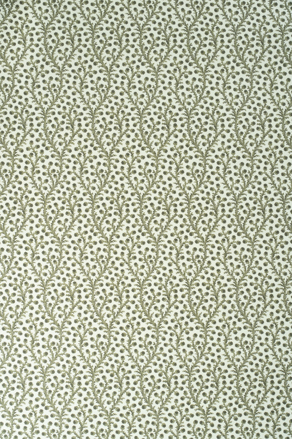 Waterberry Wallpaper by Jean Monro in Green Olive