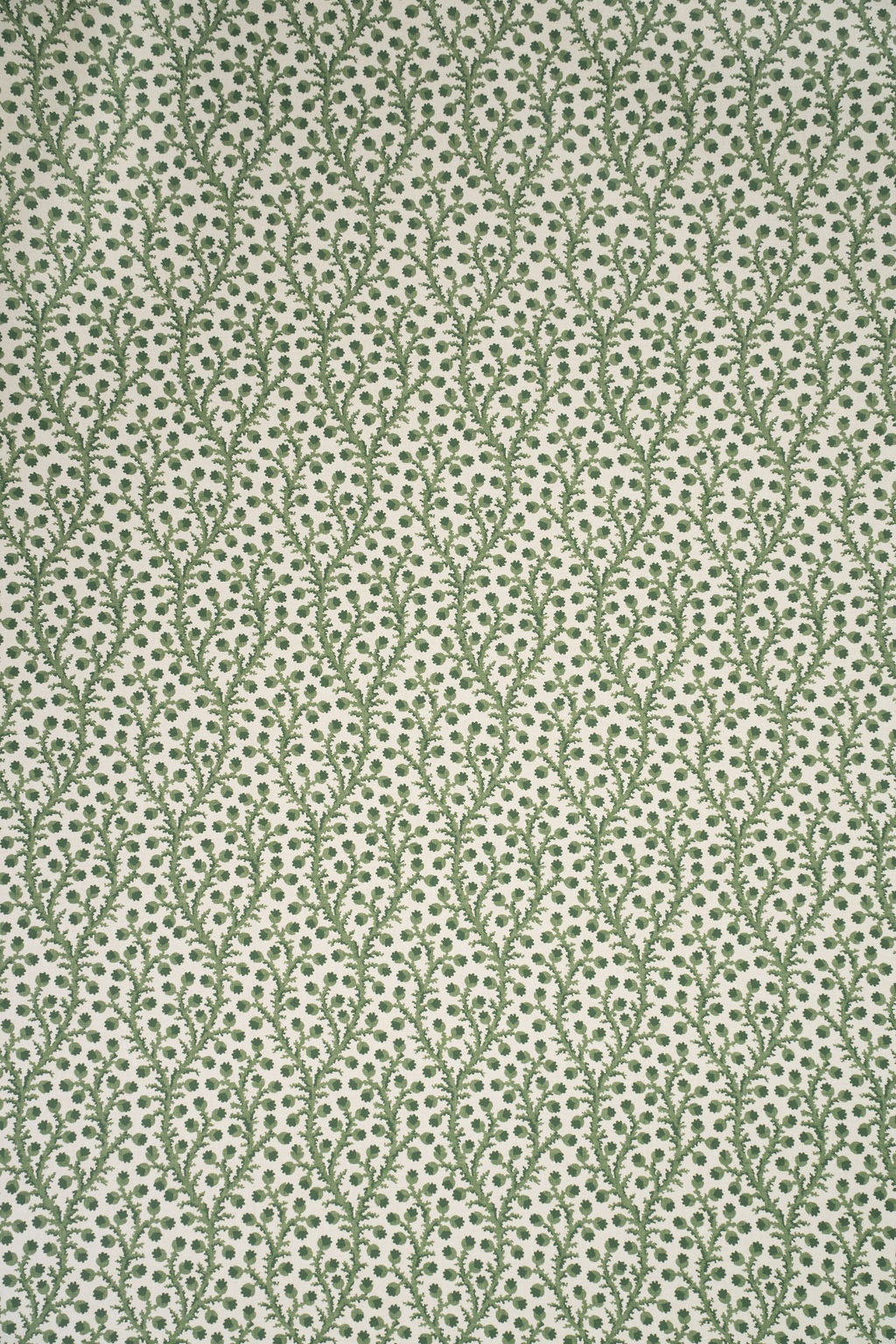 Waterberry Wallpaper by Jean Monro in New Mown Green