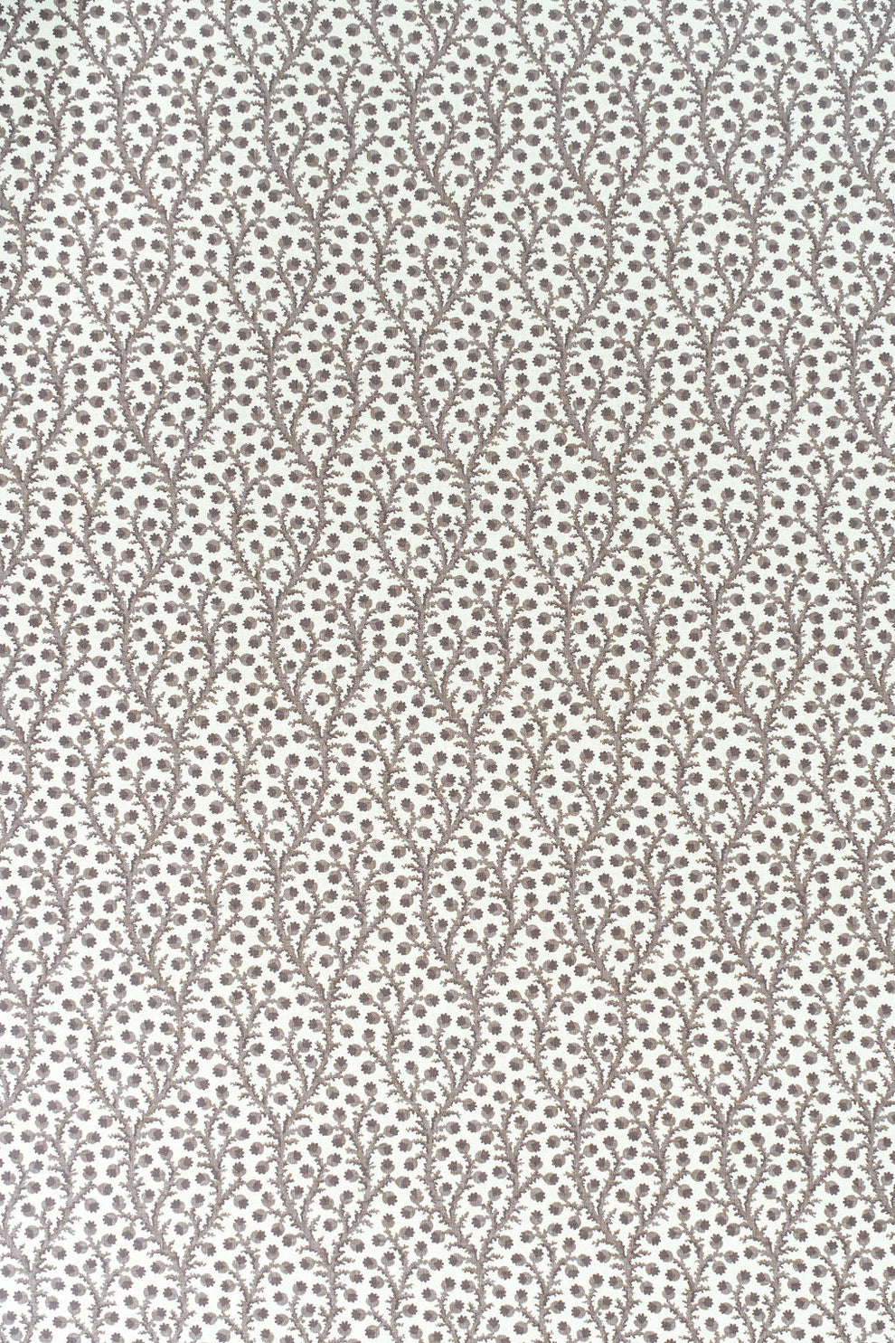 Waterberry Wallpaper by Jean Monro | The ReBorn House