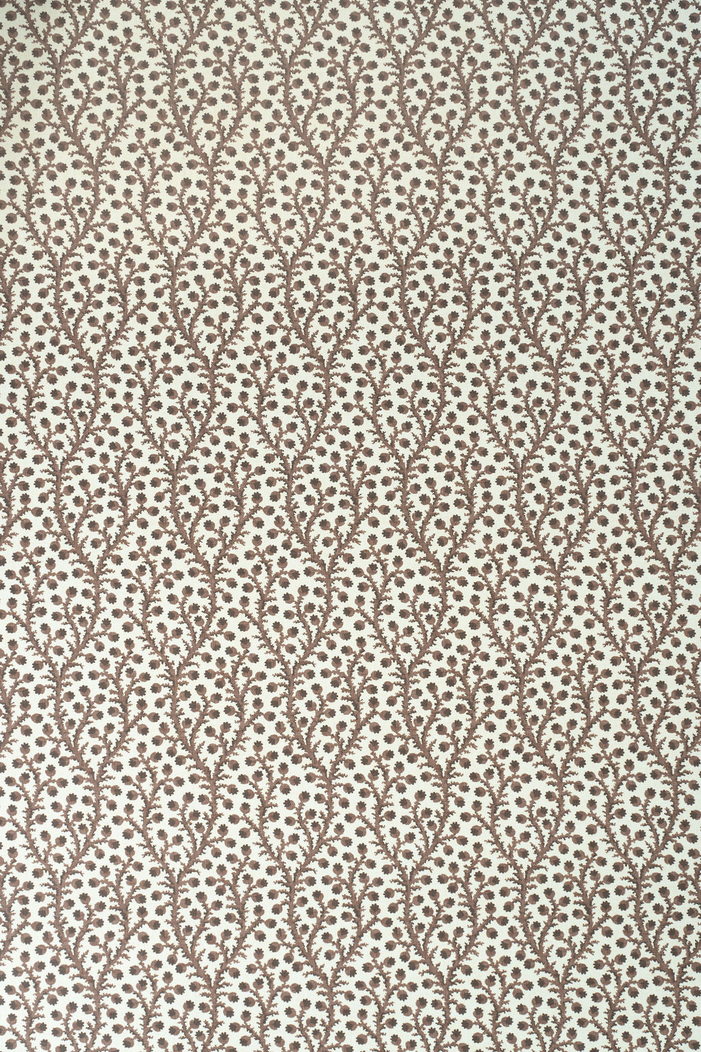 Waterberry Wallpaper by Jean Monro in Unearthly Brown
