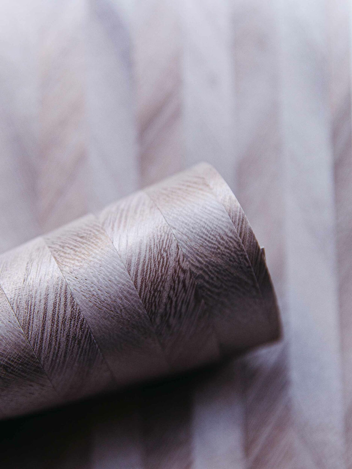 Wheat Spike wallpaper by Coordonné in Fog, shown in a styled room