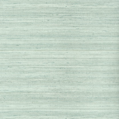 Wild Silk Wallpaper by Thibaut in Aqua (T339)